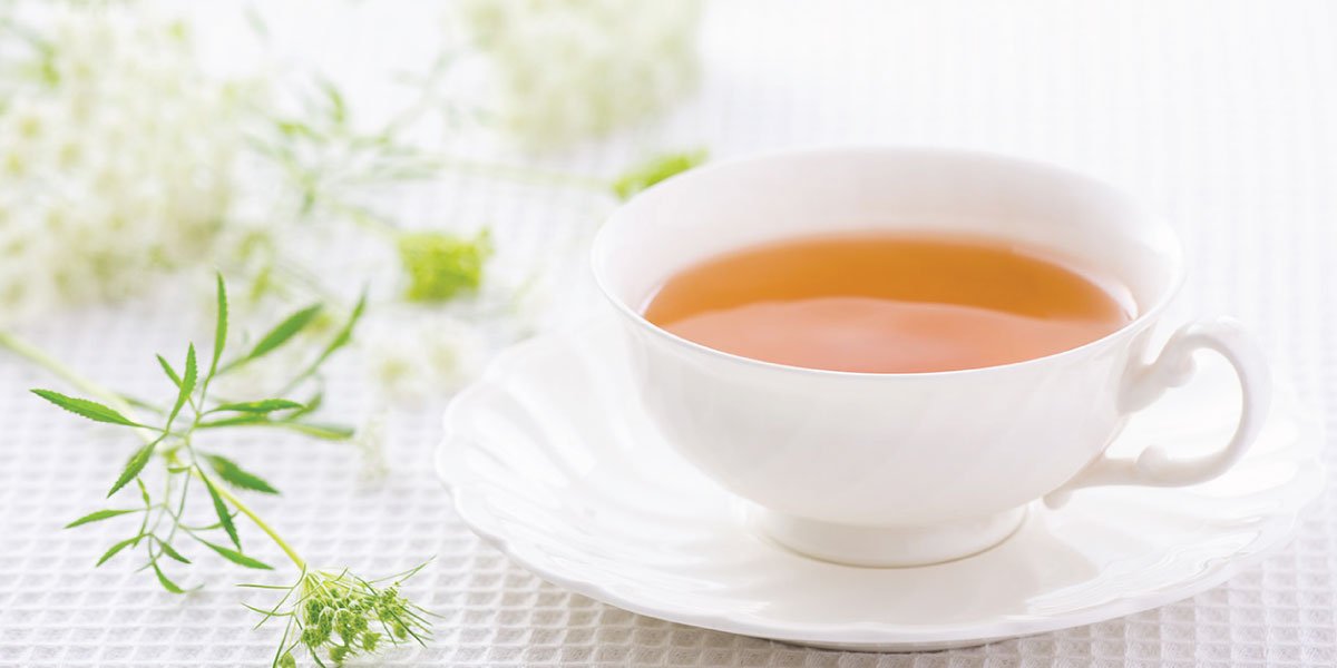6 Myths Of Tea That We Need To Leave Behind in 2021